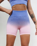 Gianna Seamless Shorts - Blue & Pink