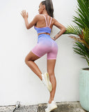 Gianna Seamless Shorts - Blue & Pink