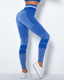 Imperia Seamless Active Leggings