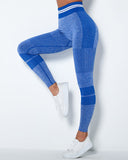 Imperia Seamless Active Leggings