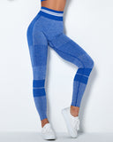 Imperia Seamless Active Leggings