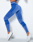 Imperia Seamless Active Leggings