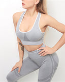 Willo Fox Multi-Sports Bra
