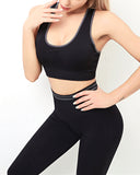 Willo Fox Multi-Sports Bra