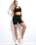 Willo Fox Multi-Sports Bra