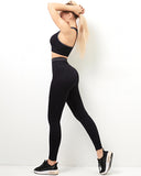 Willo Fox Multi-Sports Bra