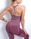 Willo Fox Multi-Sports Bra