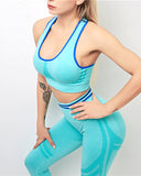 Willo Fox Multi-Sports Bra