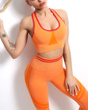 Willo Fox Multi-Sports Bra