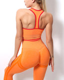 Willo Fox Multi-Sports Bra
