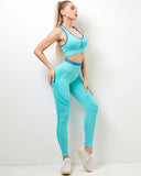 Willo Fox Seamless Scrunch Leggings