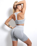 Willo Fox Seamless Shorts