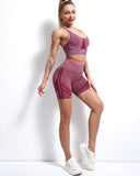 Willo Fox Seamless Shorts